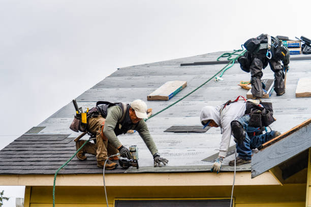 Professional Gutter Installation technician working in Palmyra, TN